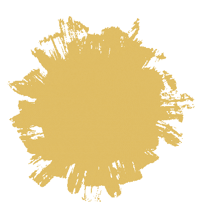 Lifestyle zero frizz